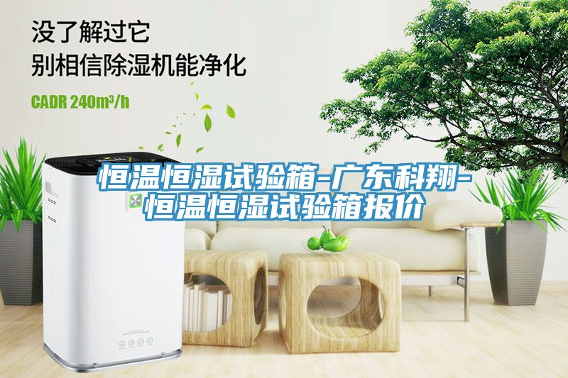 恒溫恒濕試驗箱-廣東科翔-恒溫恒濕試驗箱報價