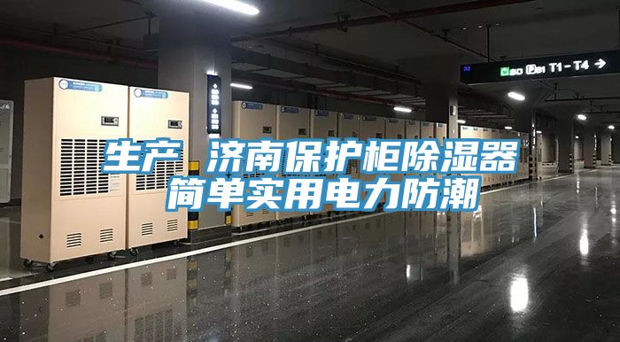 生產 濟南保護柜除濕器 簡單實用電力防潮