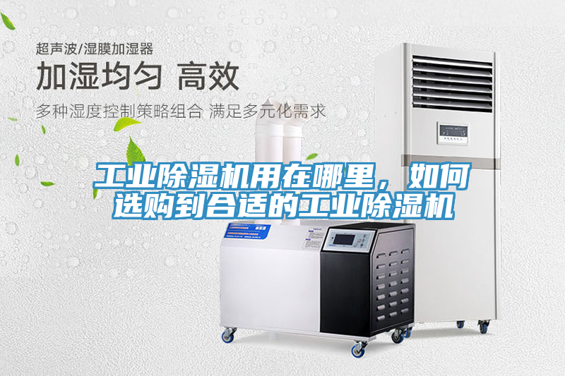 工業除濕機用在哪里，如何選購到合適的工業除濕機