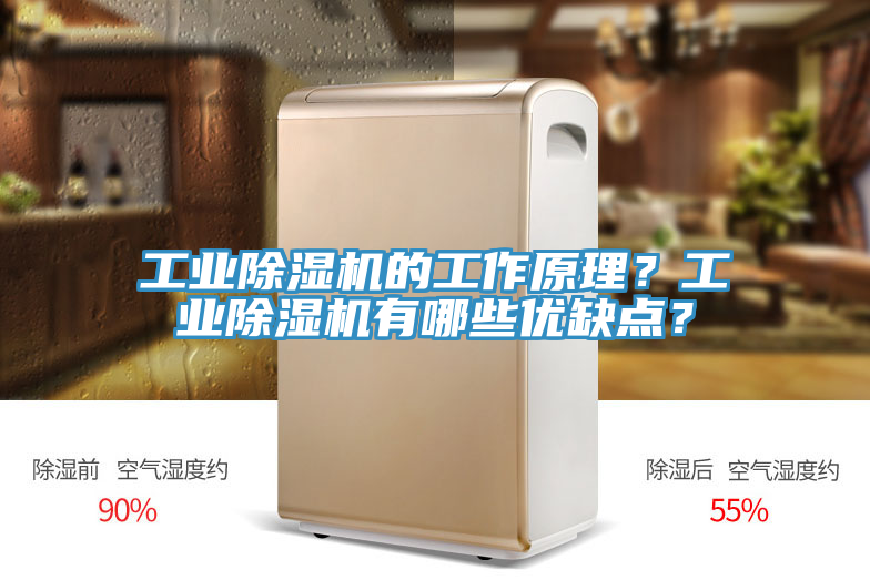 工業除濕機的工作原理？工業除濕機有哪些優缺點？