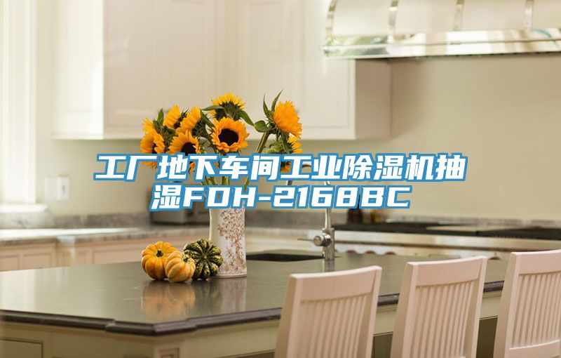 工廠地下車間工業除濕機抽濕FDH-2168BC