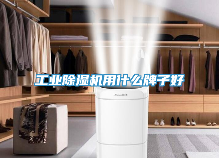 工業除濕機用什么牌子好