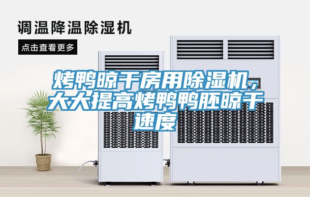 烤鴨晾干房用除濕機，大大提高烤鴨鴨胚晾干速度