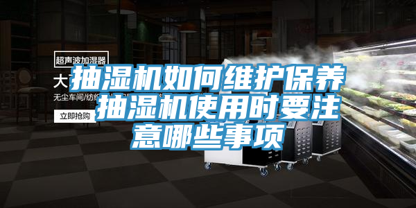 抽濕機如何維護保養 抽濕機使用時要注意哪些事項