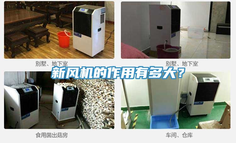 新風(fēng)機(jī)的作用有多大?