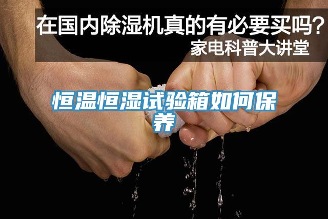 恒溫恒濕試驗箱如何保養