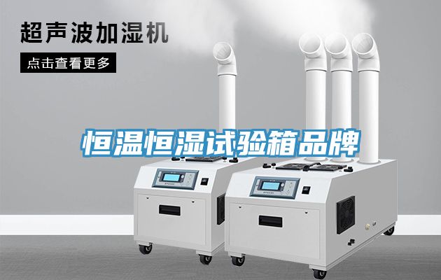 恒溫恒濕試驗箱品牌