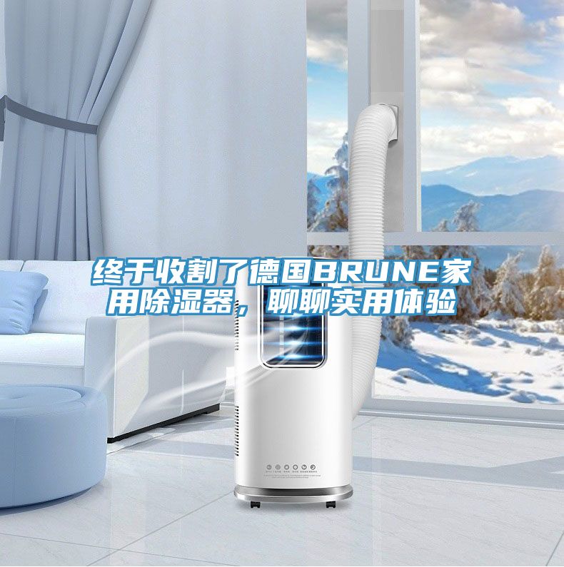 終于收割了德國BRUNE家用除濕器，聊聊實用體驗