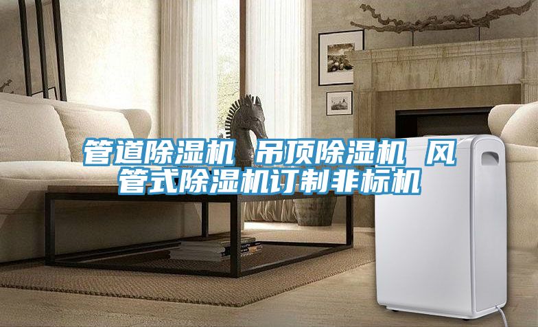 管道除濕機 吊頂除濕機 風管式除濕機訂制非標機