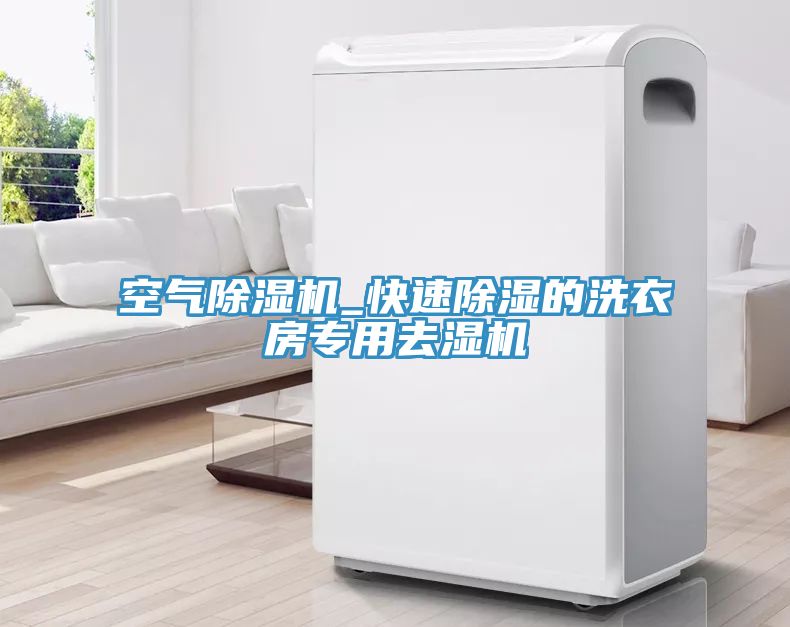 空氣除濕機_快速除濕的洗衣房專用去濕機