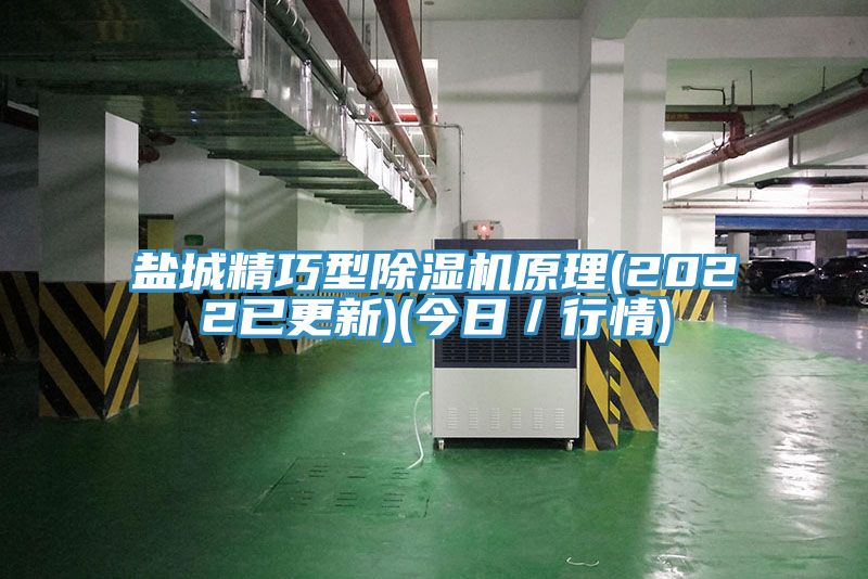 鹽城精巧型除濕機(jī)原理(2022已更新)(今日/行情)