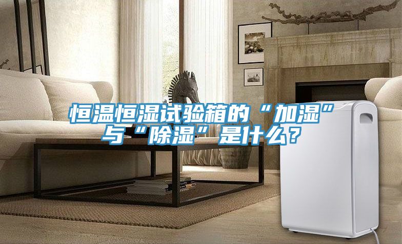 恒溫恒濕試驗箱的“加濕”與“除濕”是什么？