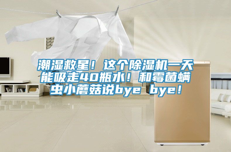 潮濕救星！這個除濕機一天能吸走40瓶水！和霉菌螨蟲小蘑菇說bye bye！