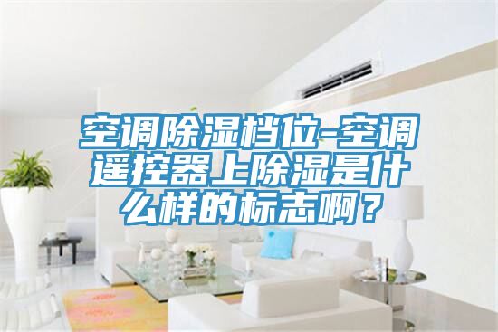 空調除濕檔位-空調遙控器上除濕是什么樣的標志啊?