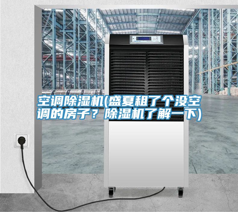 空調除濕機(盛夏租了個沒空調的房子?除濕機了解一下)
