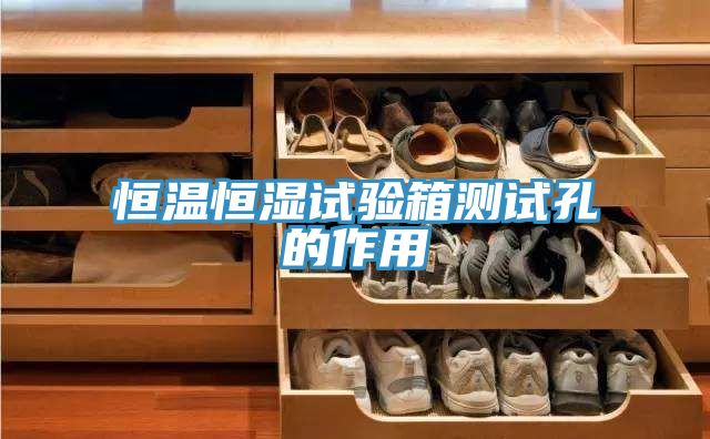 恒溫恒濕試驗箱測試孔的作用