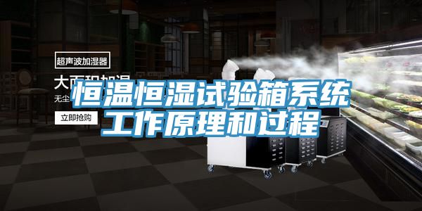 恒溫恒濕試驗箱系統工作原理和過程