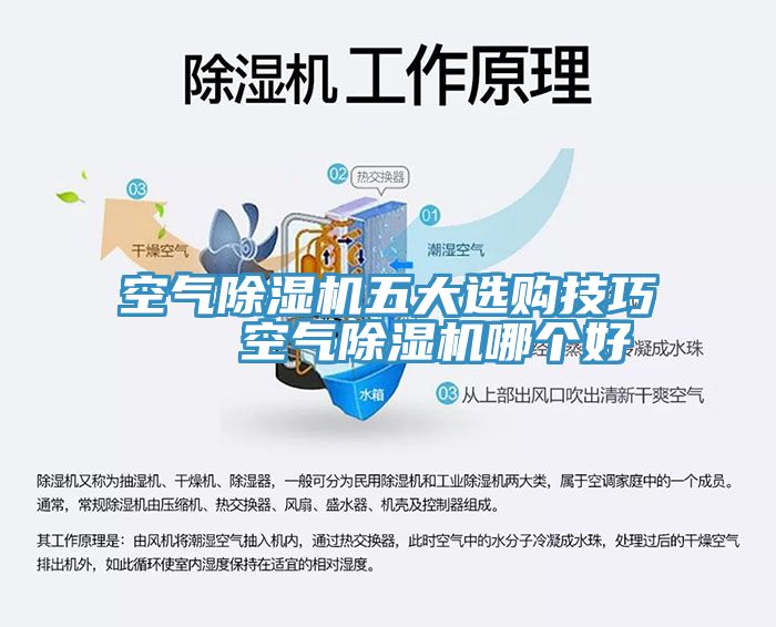 空氣除濕機五大選購技巧 空氣除濕機哪個好