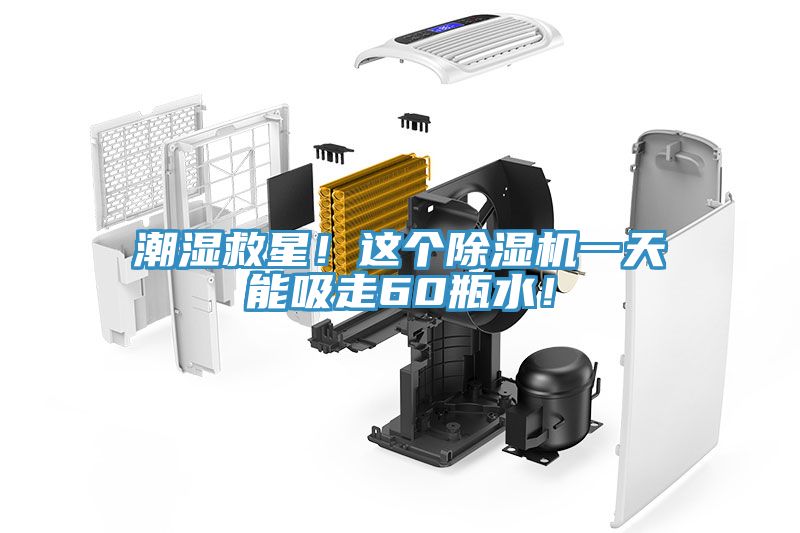 潮濕救星！這個除濕機一天能吸走60瓶水！