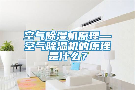 空氣除濕機原理—空氣除濕機的原理是什么?