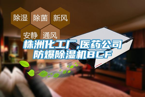 株洲化工廠,醫(yī)藥公司防爆除濕機(jī)BCF