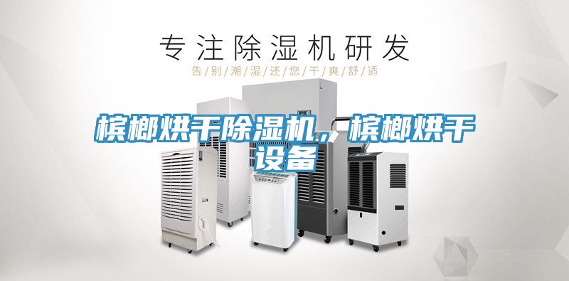 檳榔烘干除濕機，檳榔烘干設備