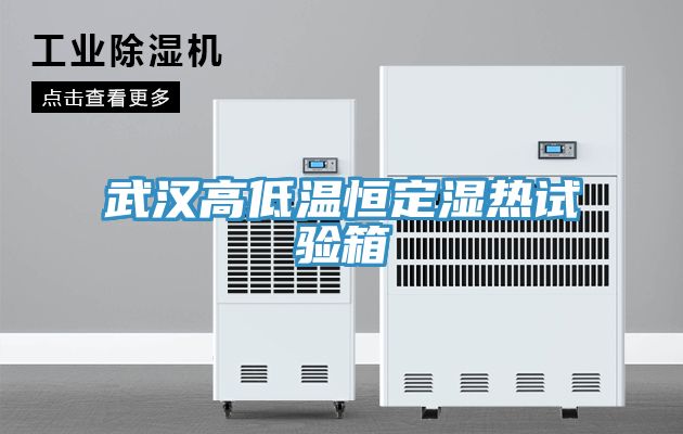 武漢高低溫恒定濕熱試驗箱
