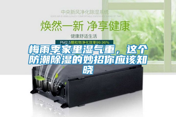 梅雨季家里濕氣重，這個防潮除濕的妙招你應該知曉
