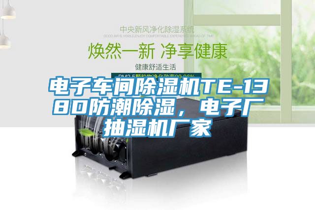 電子車間除濕機(jī)TE-138D防潮除濕，電子廠抽濕機(jī)廠家
