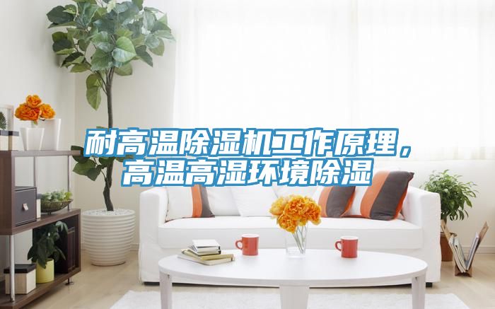 耐高溫除濕機工作原理，高溫高濕環境除濕