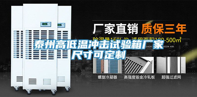 泰州高低溫沖擊試驗箱廠家尺寸可定制
