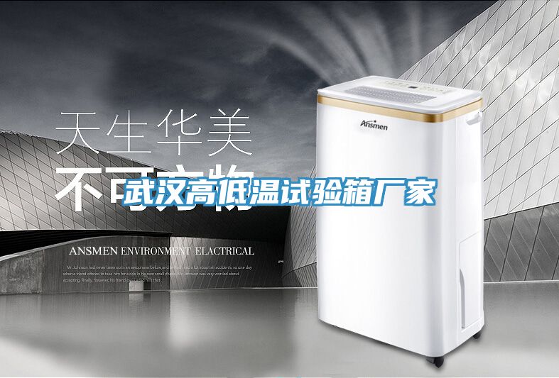 武漢高低溫試驗箱廠家