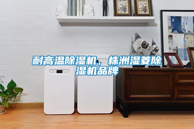 耐高溫除濕機,株洲濕菱除濕機品牌