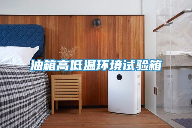 油箱高低溫環境試驗箱