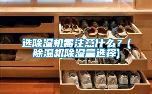 選除濕機(jī)需注意什么?(除濕機(jī)除濕量選擇)