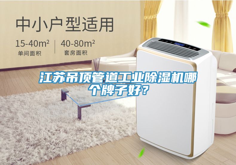 江蘇吊頂管道工業除濕機哪個牌子好？