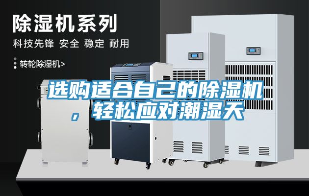 選購適合自己的除濕機，輕松應對潮濕天