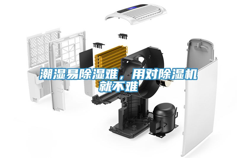潮濕易除濕難，用對除濕機就不難