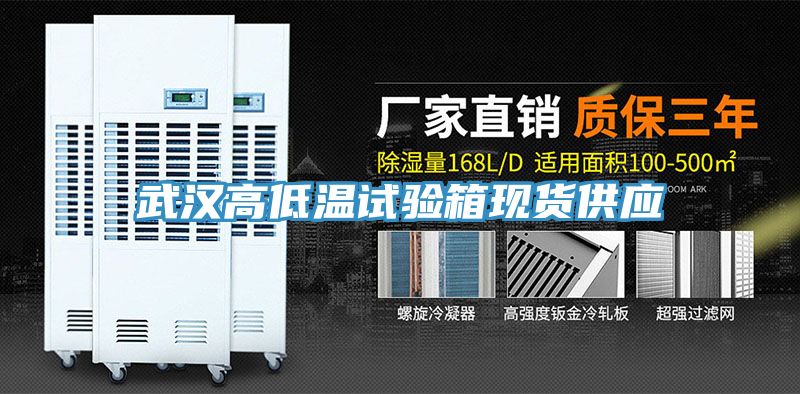 武漢高低溫試驗箱現貨供應