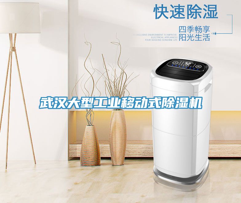 武漢大型工業移動式除濕機
