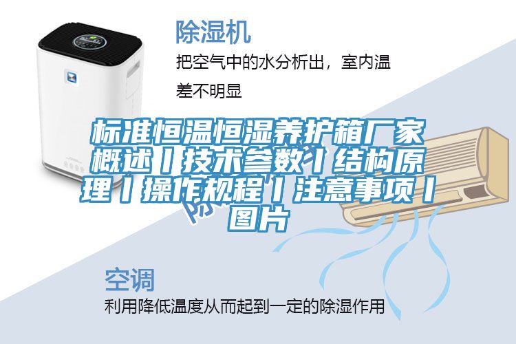 標準恒溫恒濕養護箱廠家概述丨技術參數丨結構原理丨操作規程丨注意事項丨圖片