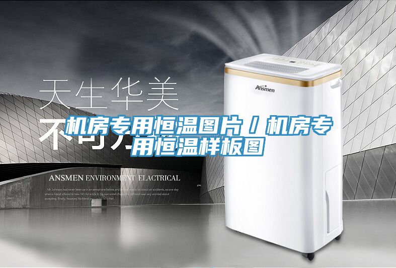 機房專用恒溫圖片/機房專用恒溫樣板圖