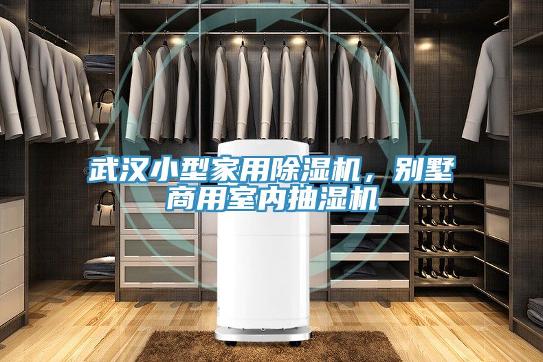 武漢小型家用除濕機，別墅商用室內抽濕機