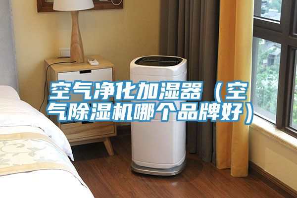 空氣凈化加濕器(空氣除濕機哪個品牌好)