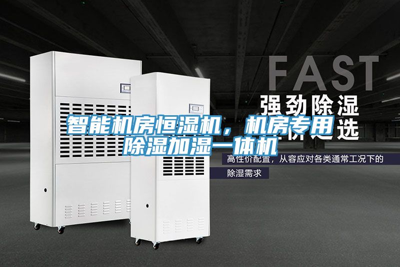 智能機房恒濕機,機房專用除濕加濕一體機