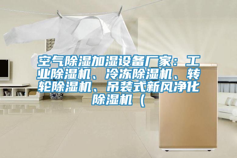 空氣除濕加濕設備廠家:工業除濕機、冷凍除濕機、轉輪除濕機、吊裝式新風凈化除濕機(