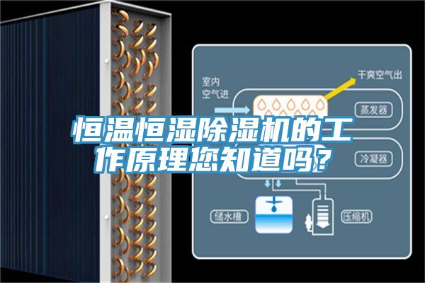恒溫恒濕除濕機的工作原理您知道嗎？
