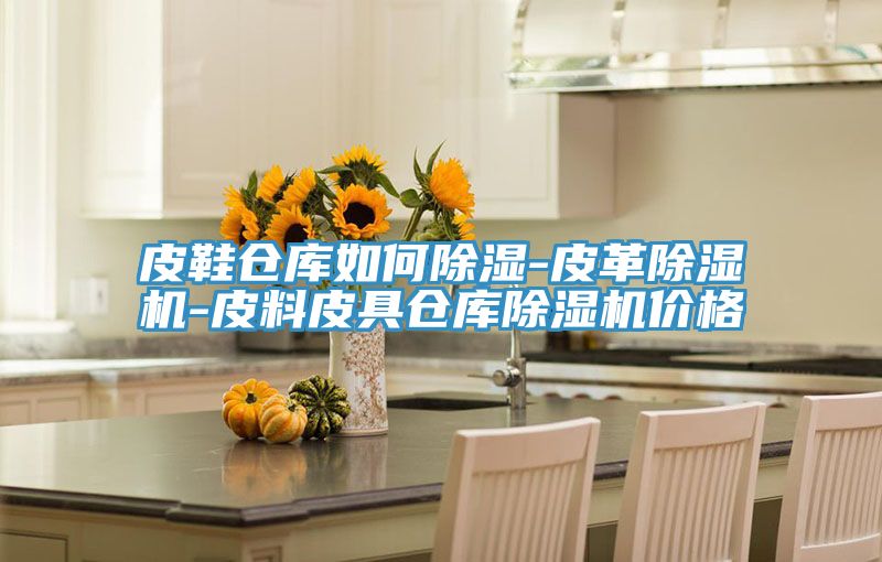 皮鞋倉庫如何除濕-皮革除濕機-皮料皮具倉庫除濕機價格