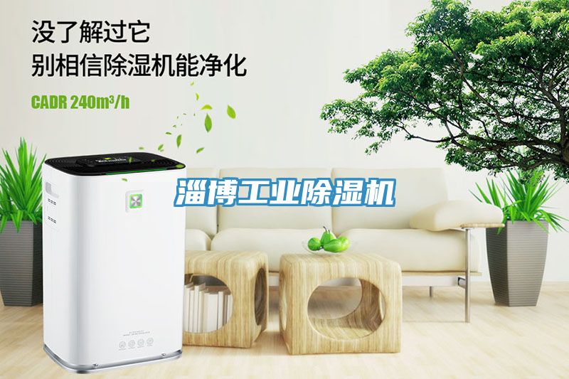 淄博工業(yè)除濕機