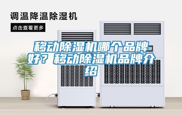 移動除濕機哪個品牌好?移動除濕機品牌介紹